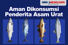 4 Ikan Laut yang Aman...
