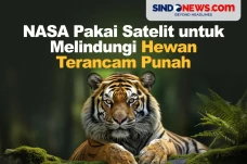 NASA Pakai Satelit untuk...