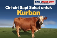 Memilih Sapi yang Bagus...