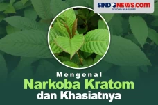 Mengenal Tanaman Narkoba...