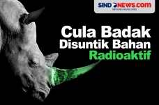 Melawan Perburuan, Cula...