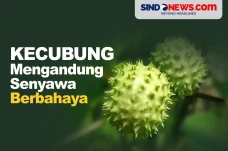 Bisa Sebabkan Kematian,...