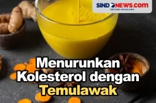 Wajib Dicoba, Berikut...