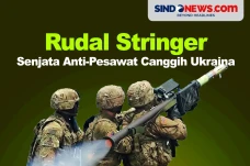 Rudal Stinger, Senjata...