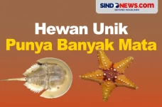 Ada yang sampai 10 Ribu,...