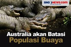 Mengancam Manusia, Populasi...