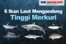 Waspada, Berikut 6 Ikan...