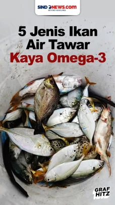 5 Ikan Air Tawar yang...
