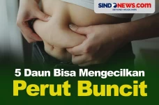 5 Jenis Daun yang Paling...