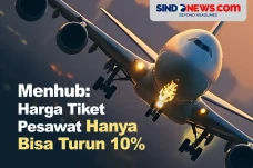 Menhub: Harga Tiket...