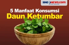 5 Manfaat Mengonsumsi...