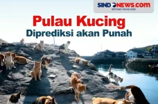 Pulau Kucing Diprediksi...
