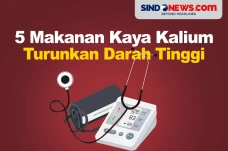 5 Makanan Sehat Kaya...