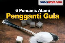Pemanis Alami Pengganti...