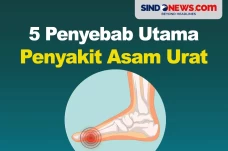 5 Penyebab Utama Terserang...