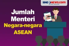 Perbandingan Jumlah...