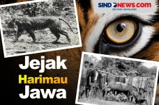 Masih Menjadi Misteri,...