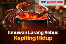 Ini Alasan Ilmuwan Larang...