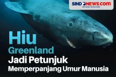 Genom Hiu Greenland...