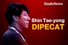 Shin Tae-yong Dipecat...