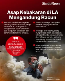 Asap Kebakaran di Los...
