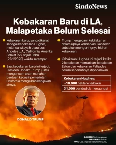 Kebakaran Baru di Los...