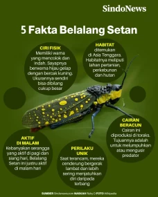 5 Fakta Menarik Belalang...