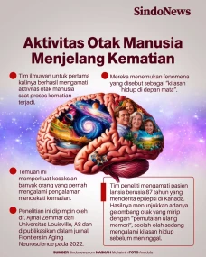 Ilmuwan Ungkap Aktivitas...