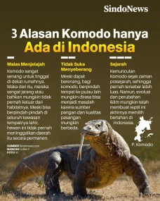 3 Alasan Komodo hanya...