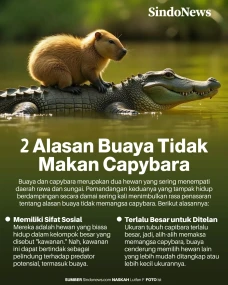 2 Alasan Buaya Hidup...