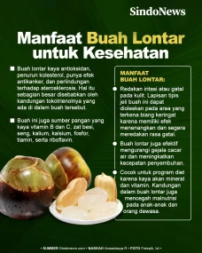 Buah Lontar Memiliki...