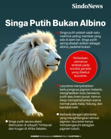 Ini Penjelasan Warna...
