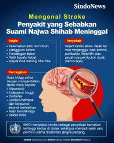 Mengenal Stroke, Penyebab...