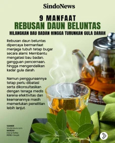 9 Manfaat Rebusan Daun...