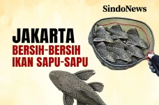 Jakarta Gencar Bersih-bersih...