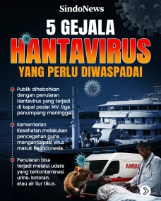 Virus Hanta Merebak!...