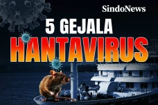 Virus Hanta Merebak!...