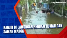 Banjir di Lamongan Rendam...