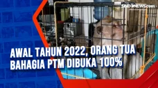 Meresahkan, Monyet Liar...
