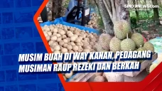 Musim Buah di Way Kanan,...