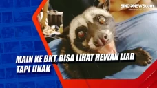 Main ke BKT, Bisa Lihat...