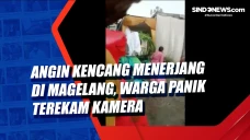 Angin Kencang Menerjang...