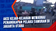 Aksi Kejar-Kejaran Mewarnai...