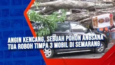 Angin Kencang, Sebuah...
