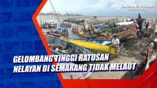 Gelombang Tinggi Ratusan...
