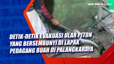 Detik-Detik Evakuasi...