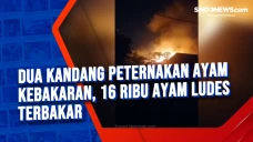 Dua Kandang Peternakan...