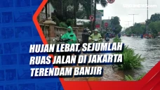 Hujan Lebat, Sejumlah...