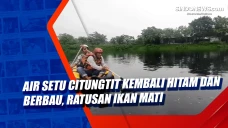 Air Setu Citungtit Kembali...