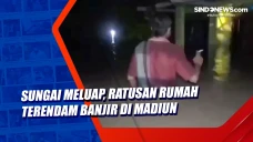 Sungai Meluap, Ratusan...